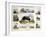 The Dog, C1850-Benjamin Waterhouse Hawkins-Framed Giclee Print