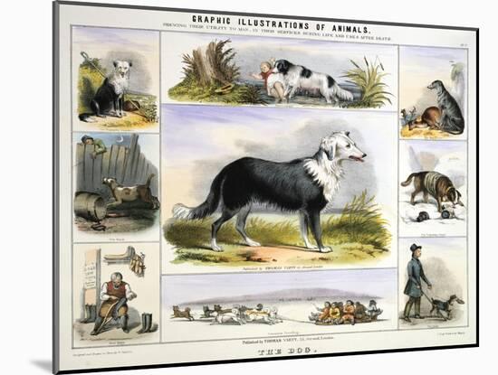 The Dog, C1850-Benjamin Waterhouse Hawkins-Mounted Giclee Print