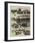 The Dog Derby, the Trials for the Waterloo Cup-S.t. Dadd-Framed Giclee Print