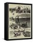 The Dog Derby, the Trials for the Waterloo Cup-S.t. Dadd-Framed Stretched Canvas