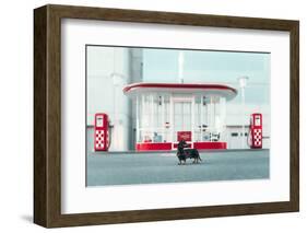 The Dog in the Gas Station-Heike Willers-Framed Photographic Print