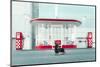 The Dog in the Gas Station-Heike Willers-Mounted Photographic Print