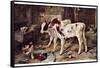 The Dog in the Manger, 1885-Walter Hunt-Framed Stretched Canvas