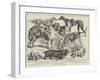 The Dog-Show at Birmingham-null-Framed Giclee Print