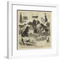 The Dog Show at the Crystal Palace-John Charles Dollman-Framed Giclee Print