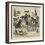 The Dog Show at the Crystal Palace-John Charles Dollman-Framed Giclee Print