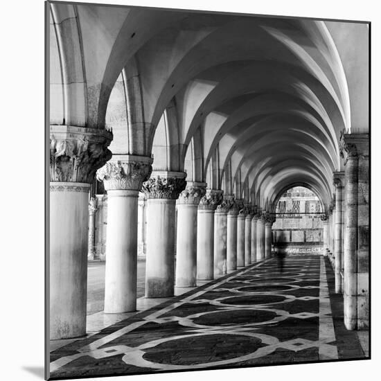 The Doge's Palace at Night, Venice, Veneto Region, Italy-Nadia Isakova-Mounted Photographic Print