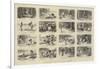 The Doleful Tale of Muggama Chuddee-William Ralston-Framed Giclee Print
