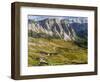 The Dolomites in the valley of Val Gardena in South Tyrol, Alto Adige. Italy-Martin Zwick-Framed Photographic Print