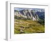 The Dolomites in the valley of Val Gardena in South Tyrol, Alto Adige. Italy-Martin Zwick-Framed Photographic Print