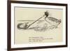 The Dolomphious Duck-Edward Lear-Framed Giclee Print