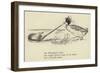 The Dolomphious Duck-Edward Lear-Framed Giclee Print