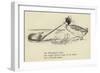 The Dolomphious Duck-Edward Lear-Framed Giclee Print