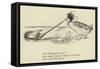 The Dolomphious Duck-Edward Lear-Framed Stretched Canvas