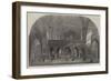 The Dom, Munster, Westphalia-Samuel Read-Framed Giclee Print