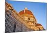 The Dome of Brunelleschi, Duomo, Florence (Firenze), Tuscany, Italy, Europe-Nico Tondini-Mounted Photographic Print