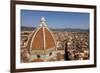The Dome of Santa Maria Del Fiore and Roof Tops, Florence, Tuscany, Italy, Europe-Simon Montgomery-Framed Photographic Print
