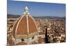 The Dome of Santa Maria Del Fiore and Roof Tops, Florence, Tuscany, Italy, Europe-Simon Montgomery-Mounted Photographic Print