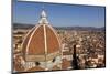 The Dome of Santa Maria Del Fiore and Roof Tops, Florence, Tuscany, Italy, Europe-Simon Montgomery-Mounted Premium Photographic Print