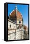 The Dome of the Duomo Santa Maria Del Fiore, Florence (Firenze),Tuscany, Italy, Europe-Nico Tondini-Framed Stretched Canvas