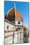 The Dome of the Duomo Santa Maria Del Fiore, Florence (Firenze),Tuscany, Italy, Europe-Nico Tondini-Mounted Photographic Print