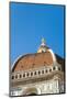 The Dome of the Duomo Santa Maria del Fiore, Florence, Tuscany, Italy-Nico Tondini-Mounted Photographic Print