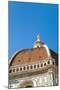 The Dome of the Duomo Santa Maria del Fiore, Florence, Tuscany, Italy-Nico Tondini-Mounted Photographic Print