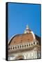 The Dome of the Duomo Santa Maria del Fiore, Florence, Tuscany, Italy-Nico Tondini-Framed Stretched Canvas