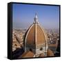 The Dome of the Duomo Santa Maria Del Fiore, Overlooking Florence, Tuscany, Italy-Roy Rainford-Framed Stretched Canvas