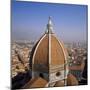 The Dome of the Duomo Santa Maria Del Fiore, Overlooking Florence, Tuscany, Italy-Roy Rainford-Mounted Photographic Print