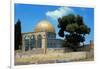 The Dome of the Rock was Built During the Omayyad Caliphate on the Temple Mount in Jerusalem-null-Framed Giclee Print