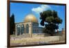 The Dome of the Rock was Built During the Omayyad Caliphate on the Temple Mount in Jerusalem-null-Framed Giclee Print