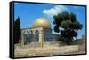 The Dome of the Rock was Built During the Omayyad Caliphate on the Temple Mount in Jerusalem-null-Framed Stretched Canvas