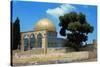 The Dome of the Rock was Built During the Omayyad Caliphate on the Temple Mount in Jerusalem-null-Stretched Canvas