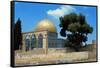 The Dome of the Rock was Built During the Omayyad Caliphate on the Temple Mount in Jerusalem-null-Framed Stretched Canvas