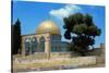 The Dome of the Rock was Built During the Omayyad Caliphate on the Temple Mount in Jerusalem-null-Stretched Canvas