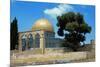 The Dome of the Rock was Built During the Omayyad Caliphate on the Temple Mount in Jerusalem-null-Mounted Giclee Print