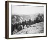 The Domes from the Sentinel Dome, Yosemite-Carleton E Watkins-Framed Giclee Print