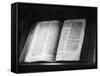 The Domesday Book-null-Framed Stretched Canvas