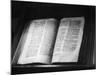 The Domesday Book-null-Mounted Photographic Print