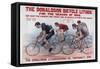 The Donaldson Bicycle Lithos for the Season of 1896-null-Framed Stretched Canvas