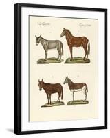 The Donkey and its Varieties-null-Framed Giclee Print