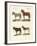 The Donkey and its Varieties-null-Framed Giclee Print