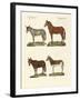 The Donkey and its Varieties-null-Framed Giclee Print