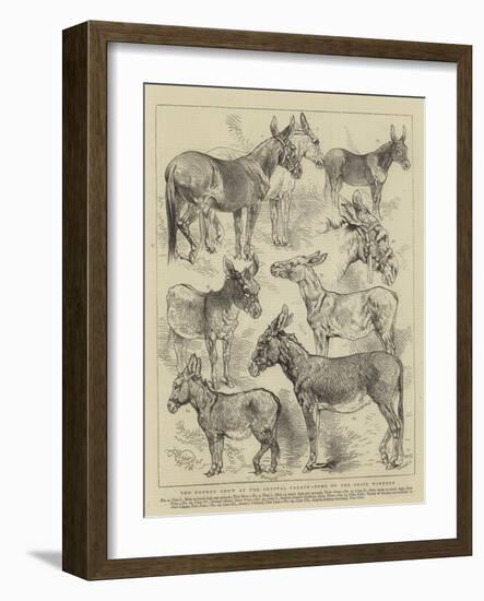 The Donkey Show at the Crystal Palace, Some of the Prize Winners-Harrison William Weir-Framed Giclee Print