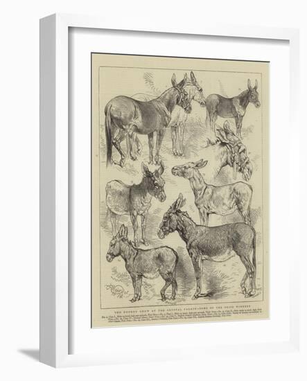 The Donkey Show at the Crystal Palace, Some of the Prize Winners-Harrison William Weir-Framed Giclee Print
