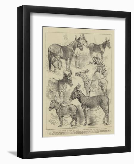 The Donkey Show at the Crystal Palace, Some of the Prize Winners-Harrison William Weir-Framed Premium Giclee Print