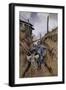 The Donkey, Somme, 1916-Francois Flameng-Framed Giclee Print