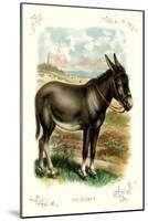 The Donkey-null-Mounted Art Print