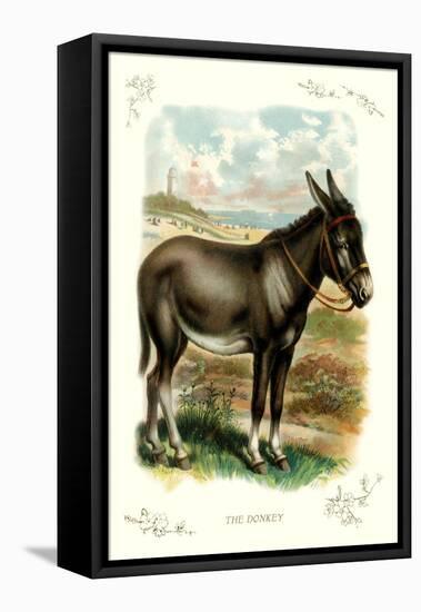 The Donkey-null-Framed Stretched Canvas